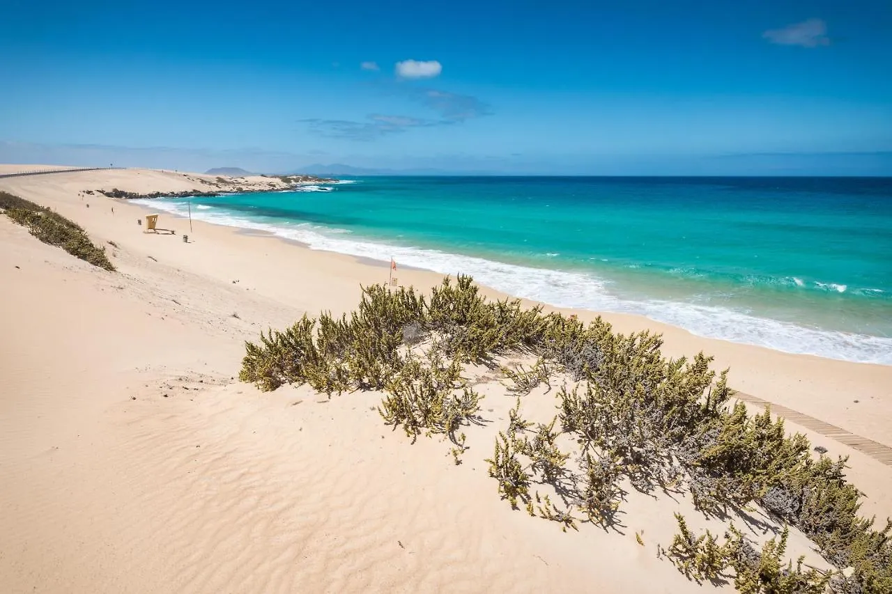 Home2Book Comfy Ohana Garden Corralejo, Pool