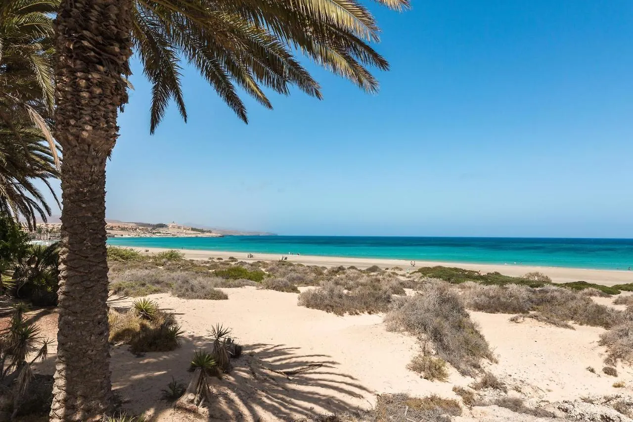 Home2Book Comfy Ohana Garden Corralejo, Pool Apartment